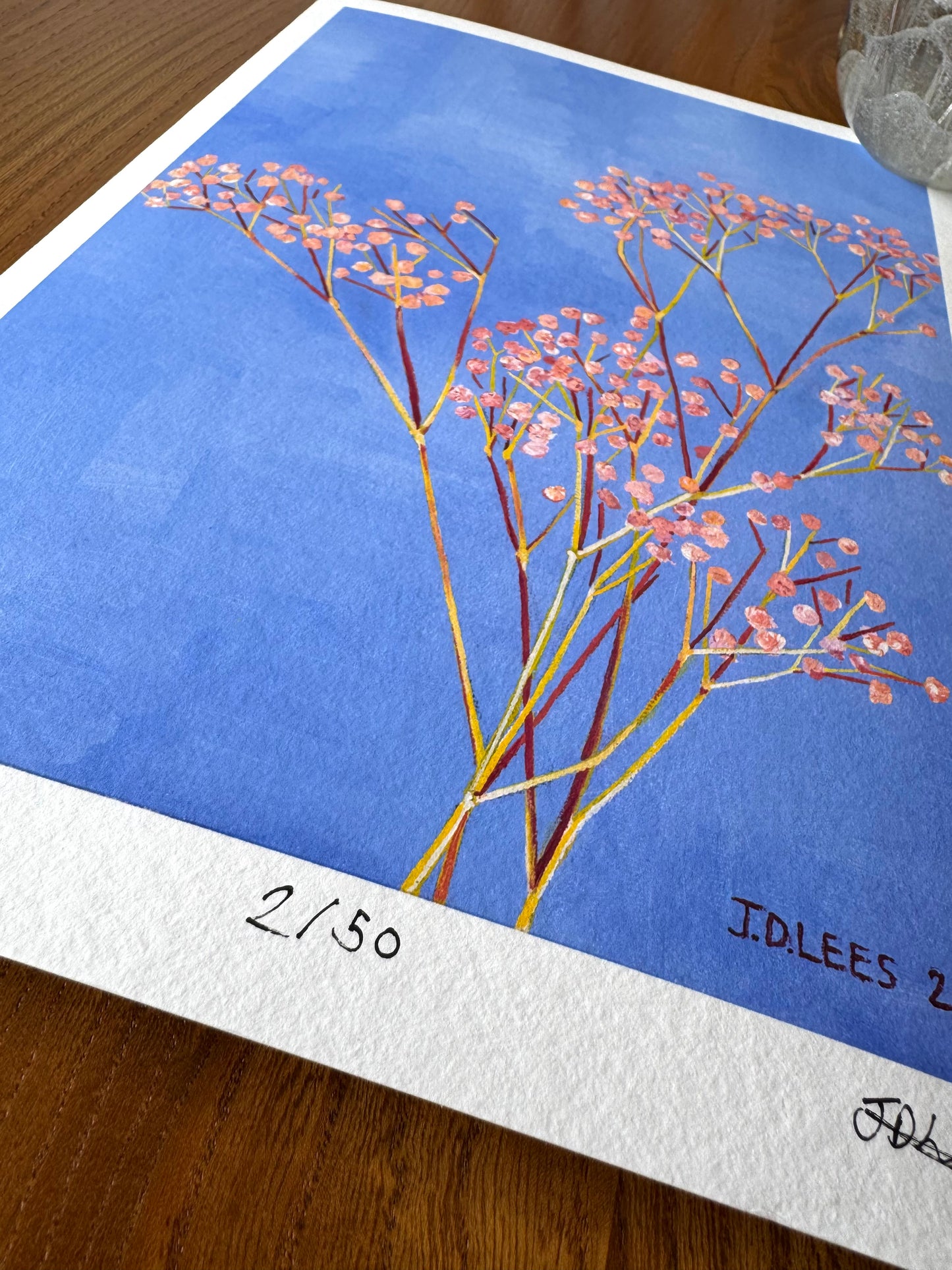 Gypsophila, Limited Edition Giclèe Print (A4)