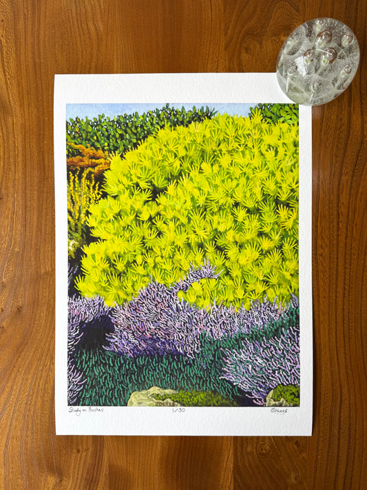 Study on Bushes, Limited Edition Giclèe Print (A3)