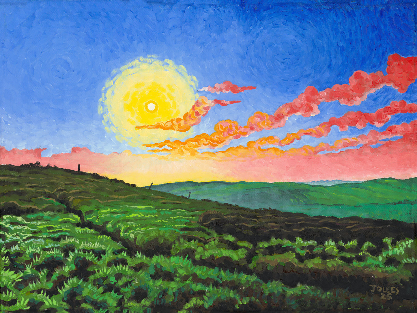 Giclée Print - Above Shadworth Lane