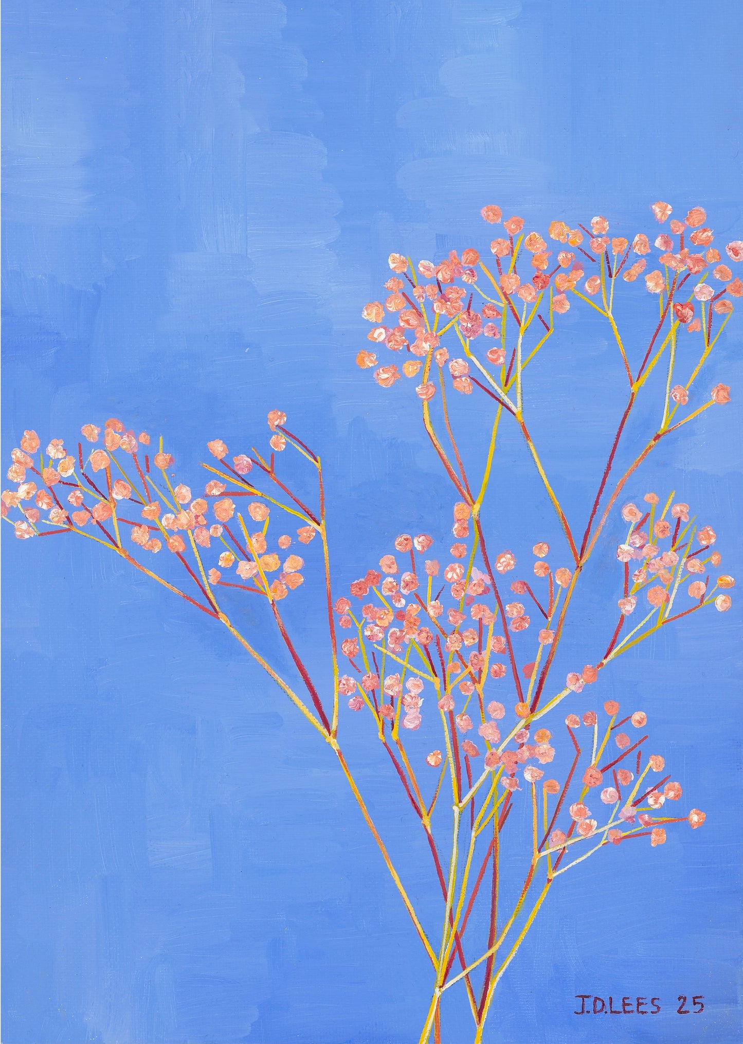 Gypsophila, Limited Edition Giclèe Print (A4)