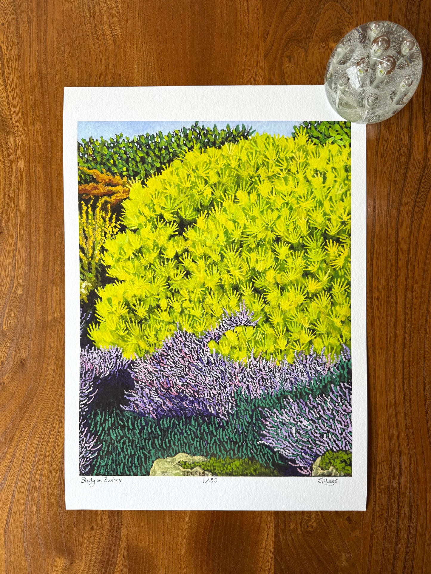 Study on Bushes, Limited Edition Giclèe Print (A3)