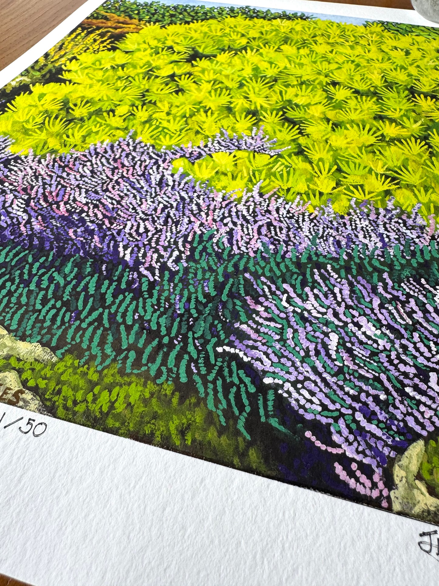 Study on Bushes, Limited Edition Giclèe Print (A3)