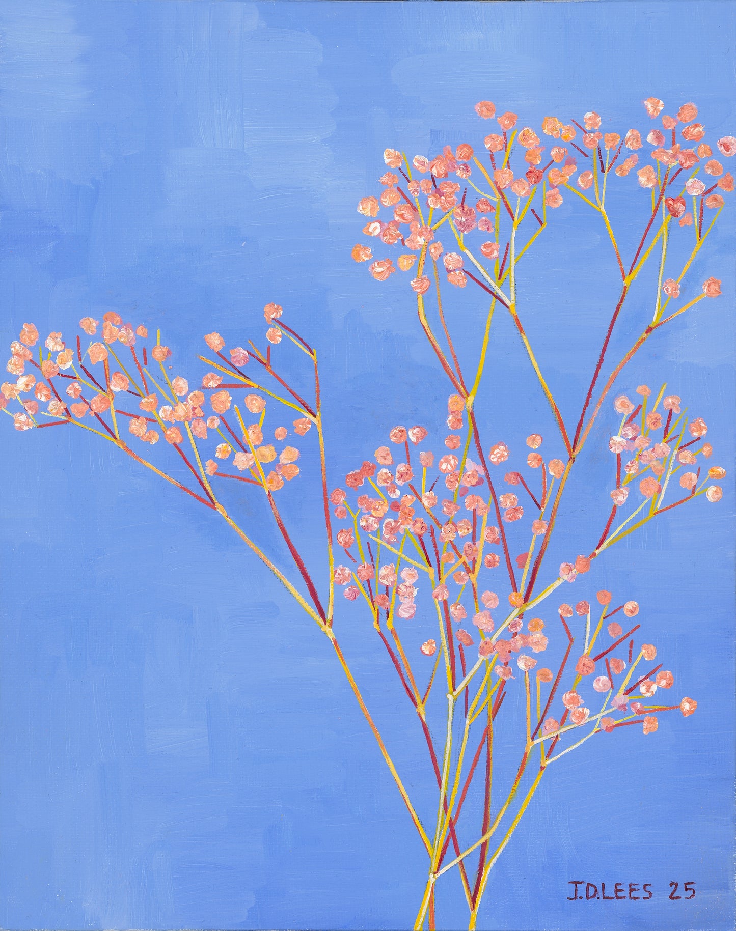 Giclée Print - Pink Gypsophila