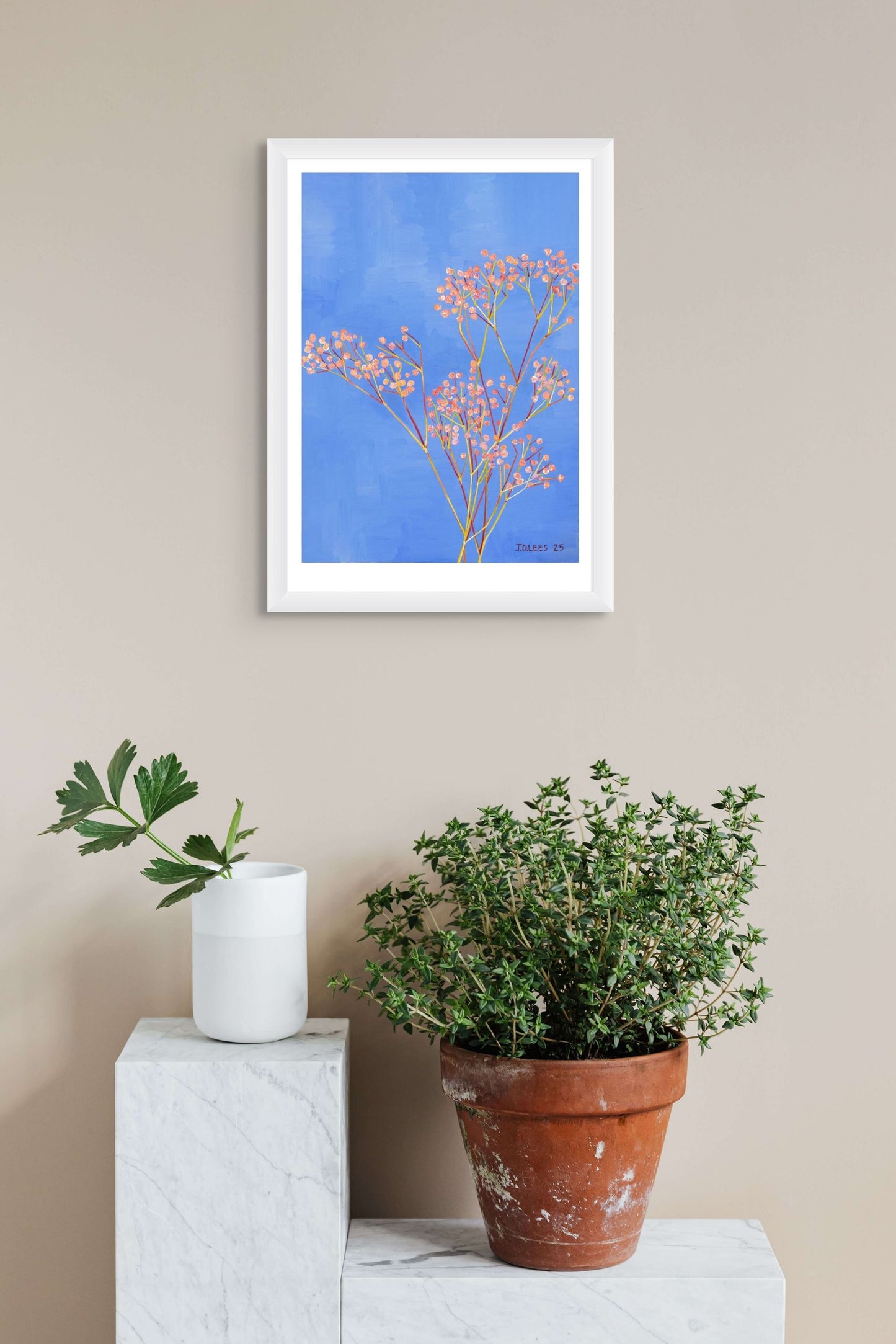 Gypsophila, Limited Edition Giclèe Print (A4)